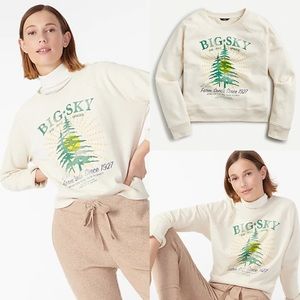 J. Crew Big Sky Sweatshirt In Cotton Terry
